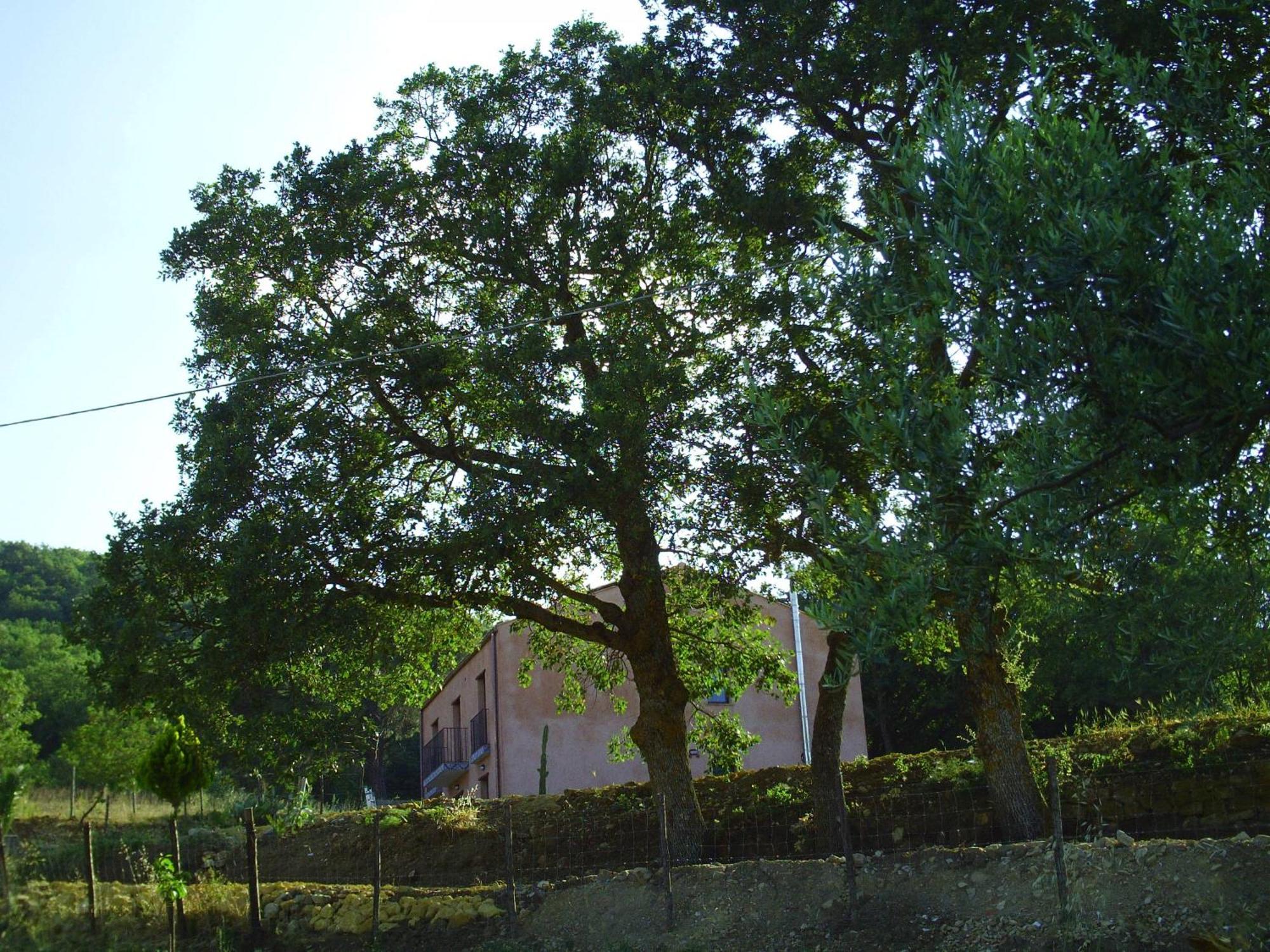 Agriturismo San Pietro Ганджи Экстерьер фото