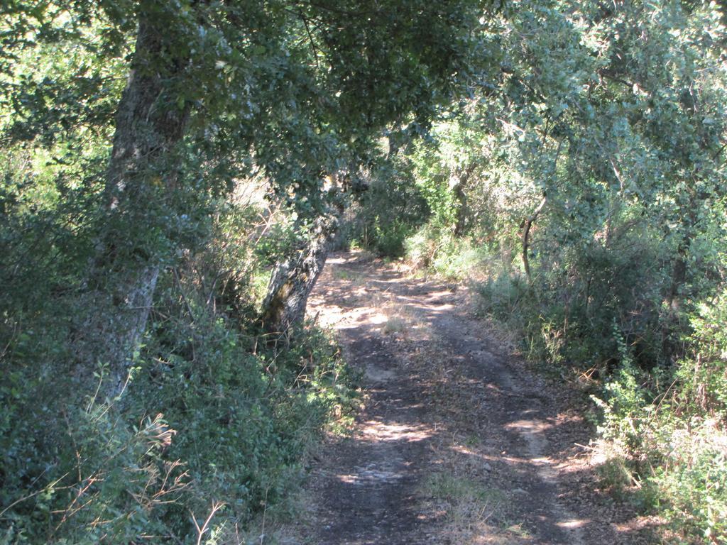 Agriturismo San Pietro Ганджи Экстерьер фото