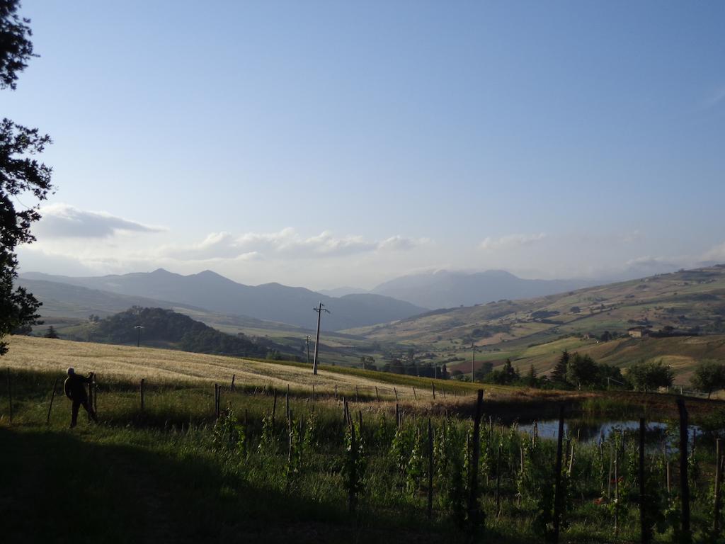 Agriturismo San Pietro Ганджи Экстерьер фото