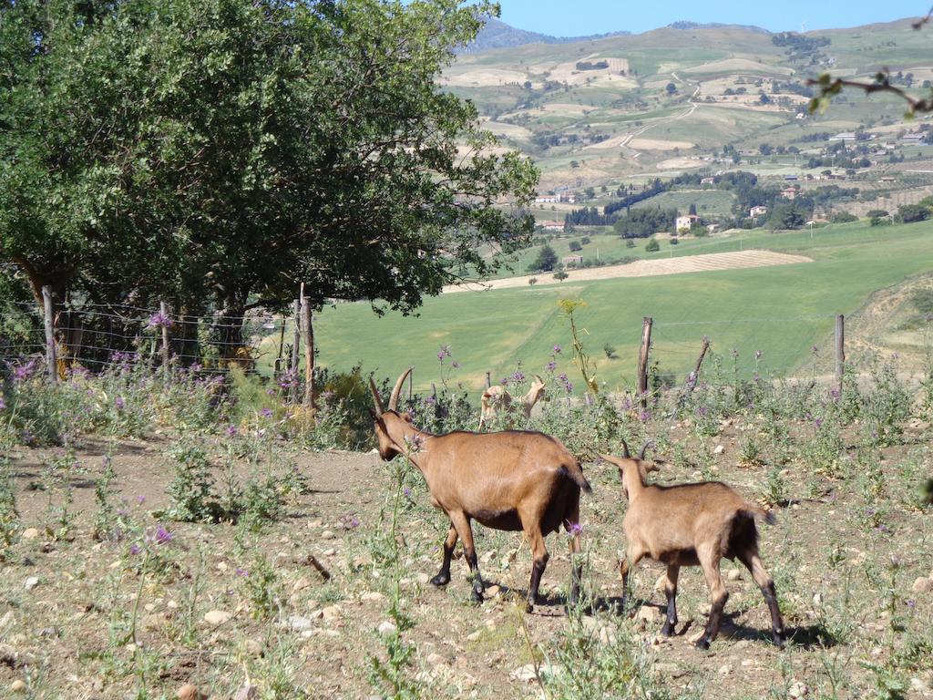 Agriturismo San Pietro Ганджи Экстерьер фото